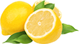 Limoni divi conserve bitonto bari italia