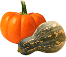 Zucca divi conserve bitonto bari italia